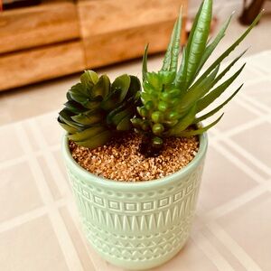 Artificial Cactus Plant. Brand New.